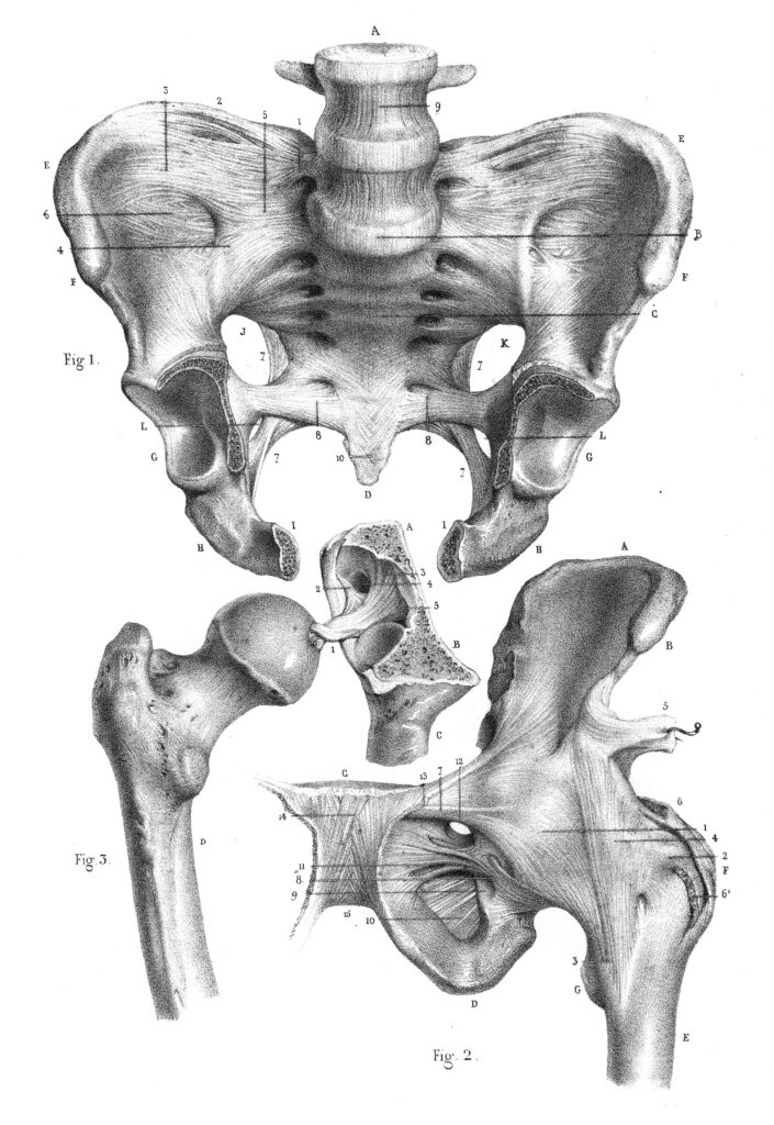 Sacroiliac joint