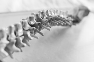 Urban Spine and Joint
