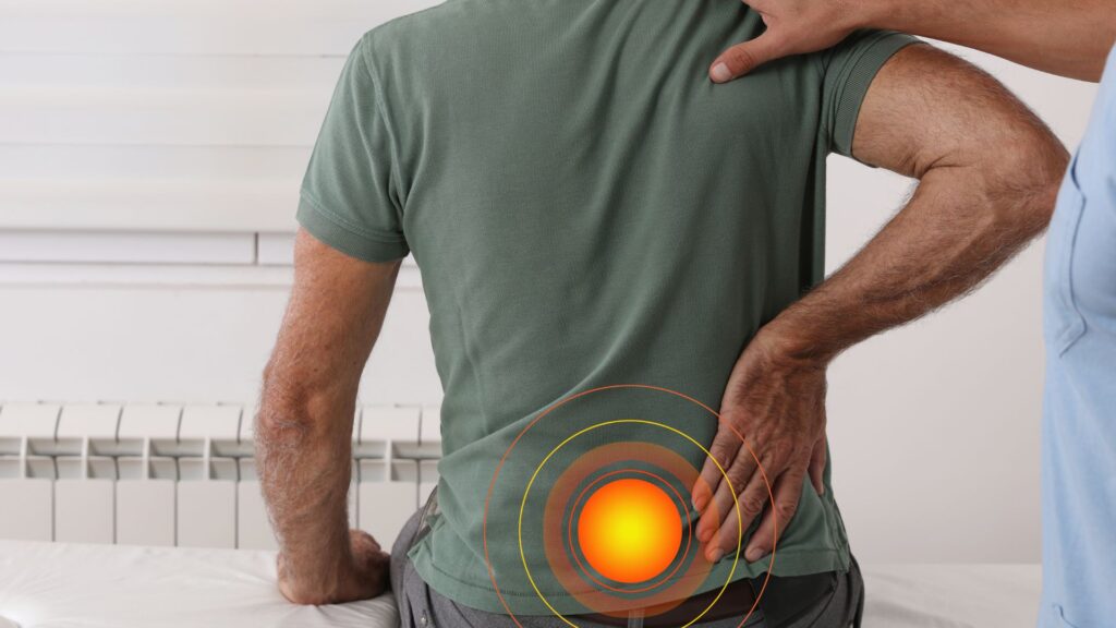 Urban Spine and Joint